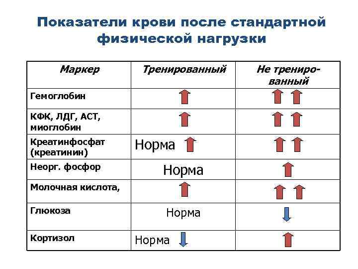 Показатели крови после стандартной физической нагрузки Маркер Тренированный Гемоглобин КФК, ЛДГ, АСТ, миоглобин Креатинфосфат