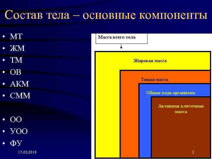 Состав тела. Активная клеточная масса это. Активная клеточная масса норма. Композиционный состав тела.