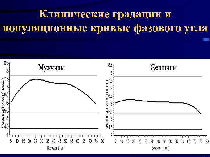 Клинические градации и популяционные кривые фазового угла 17. 02. 2018 56 