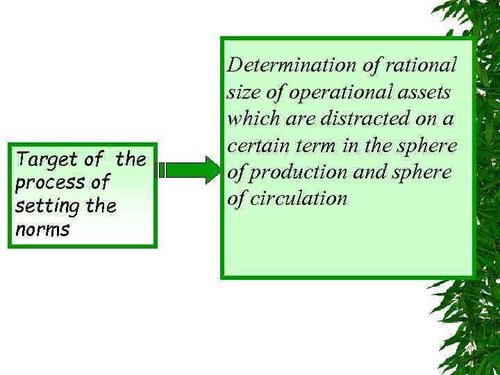 Target of the process of setting the norms Determination of rational size of operational