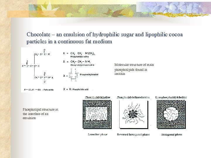 Chocolate – an emulsion of hydrophilic sugar and lipophilic cocoa particles in a continuous