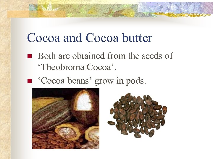 Cocoa and Cocoa butter n n Both are obtained from the seeds of ‘Theobroma