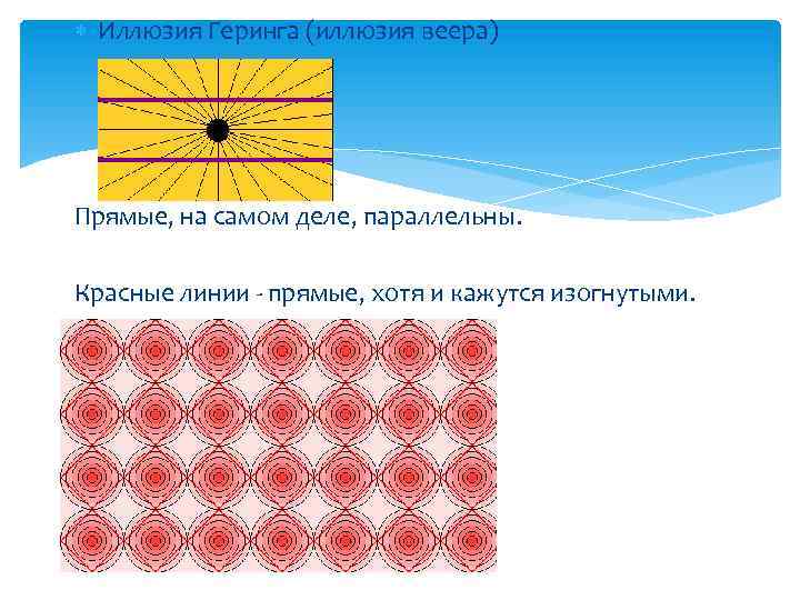  Иллюзия Геринга (иллюзия веера) Прямые, на самом деле, параллельны. Красные линии - прямые,