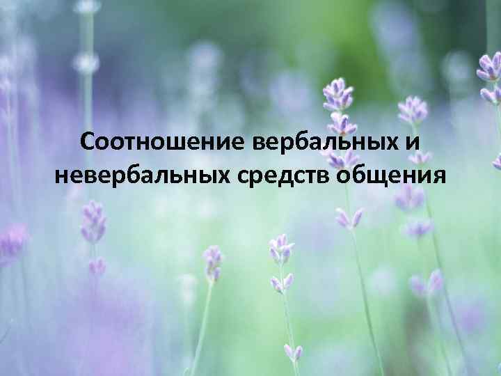 Соотношение вербальных и невербальных средств общения 