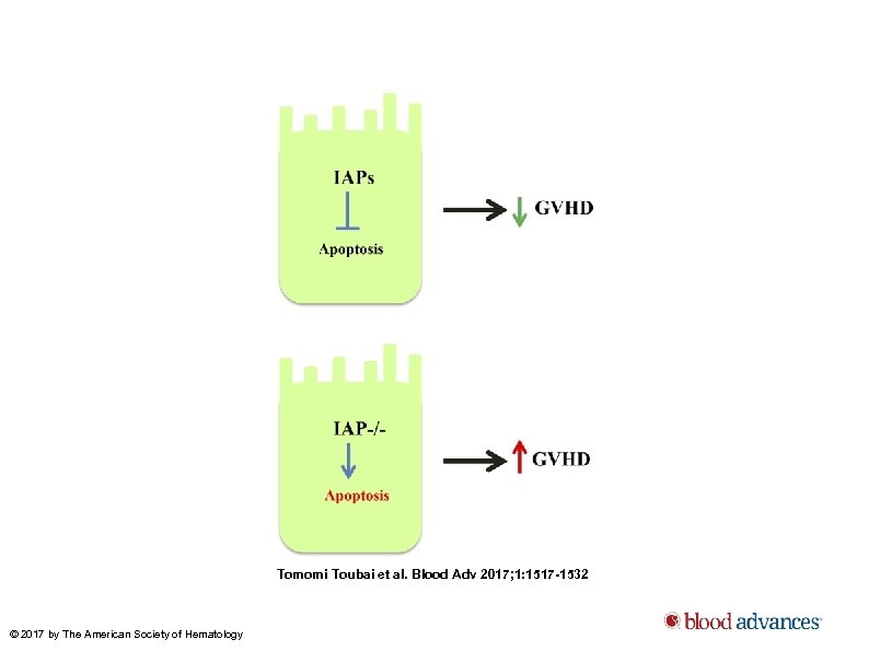 Tomomi Toubai et al. Blood Adv 2017; 1: 1517 -1532 © 2017 by The