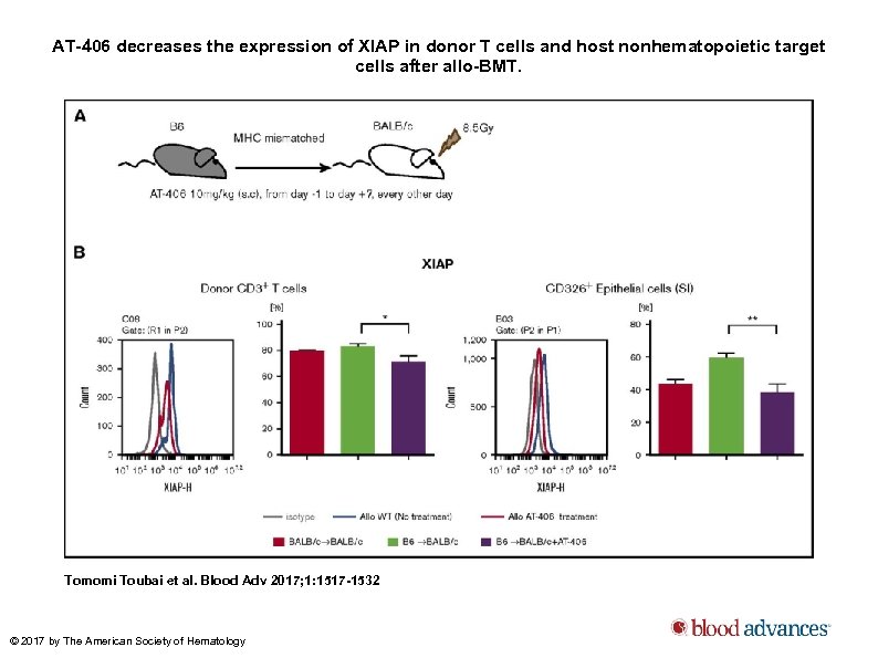 AT-406 decreases the expression of XIAP in donor T cells and host nonhematopoietic target