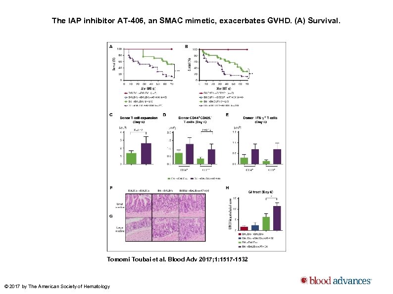 The IAP inhibitor AT-406, an SMAC mimetic, exacerbates GVHD. (A) Survival. Tomomi Toubai et