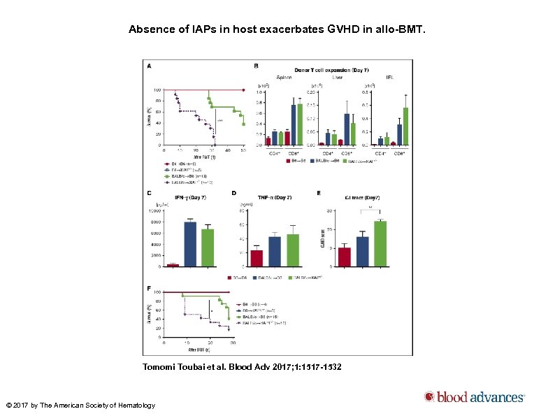 Absence of IAPs in host exacerbates GVHD in allo-BMT. Tomomi Toubai et al. Blood