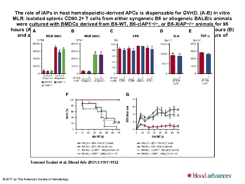 The role of IAPs in host hematopoietic-derived APCs is dispensable for GVHD. (A-B) In