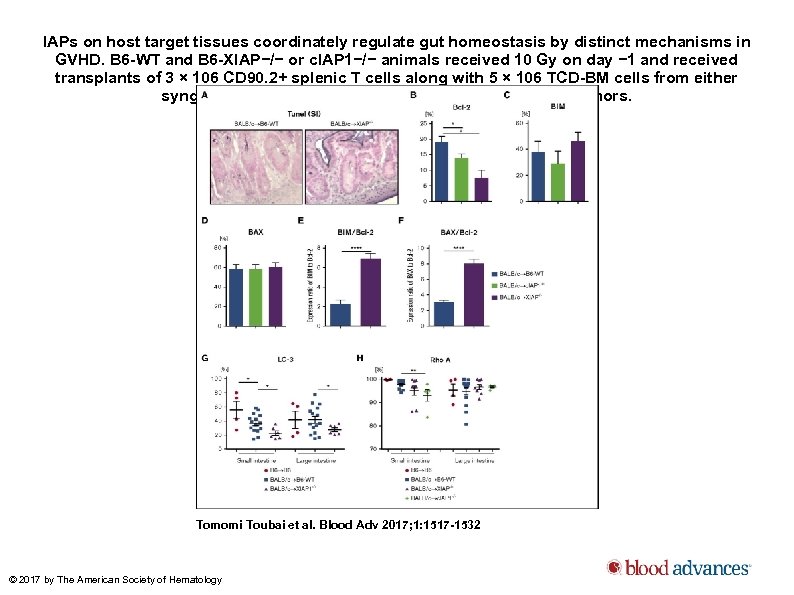 IAPs on host target tissues coordinately regulate gut homeostasis by distinct mechanisms in GVHD.