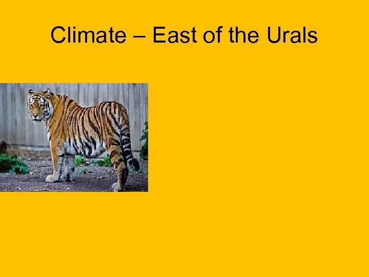 Climate – East of the Urals 