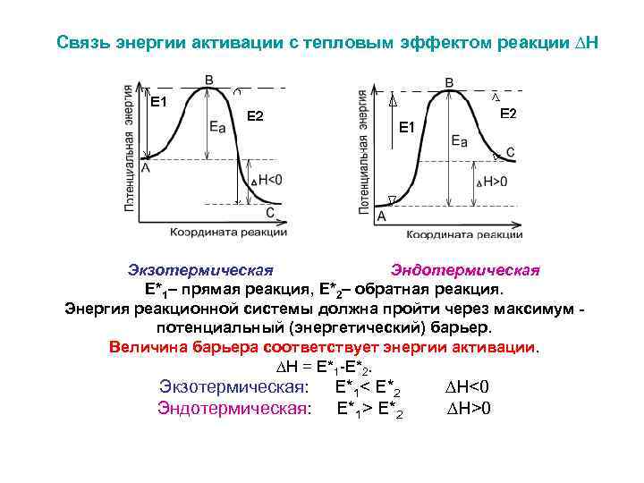 Связь энергии активации с тепловым эффектом реакции ∆Н Экзотермическая Эндотермическая Е*1– прямая реакция, Е*2–