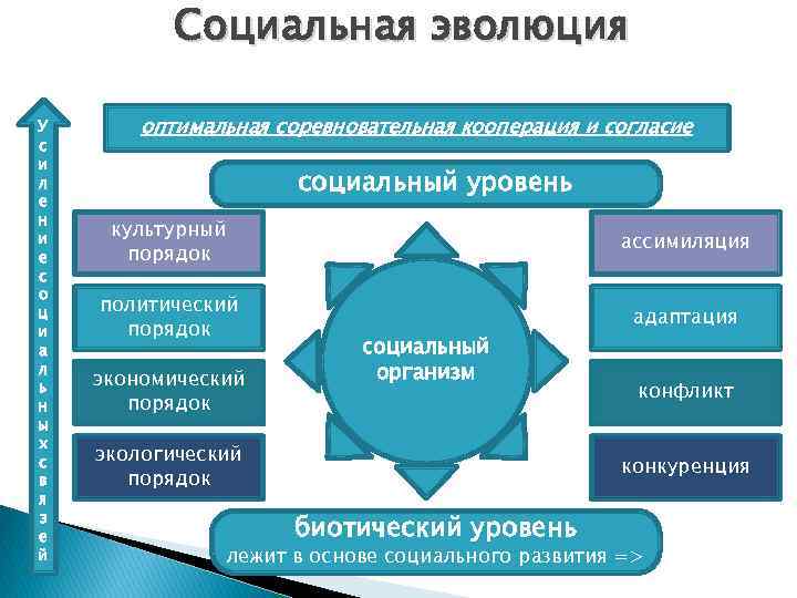 Социальная эволюция У с и л е н и е с о ц и