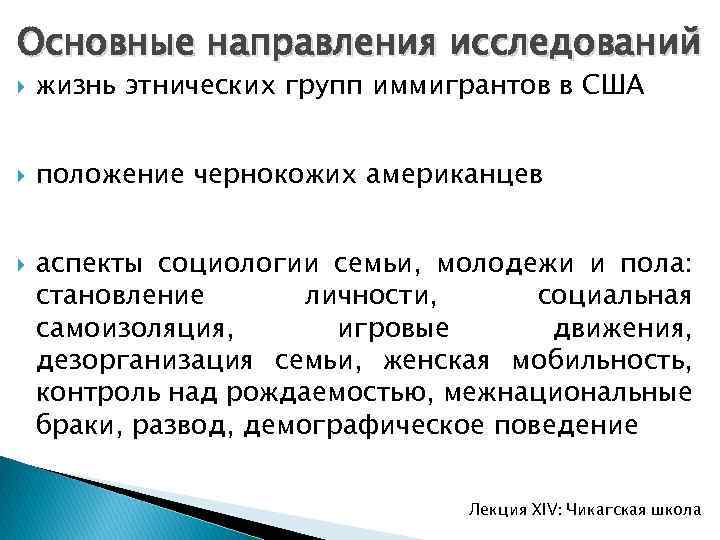 Основные направления исследований жизнь этнических групп иммигрантов в США положение чернокожих американцев аспекты социологии