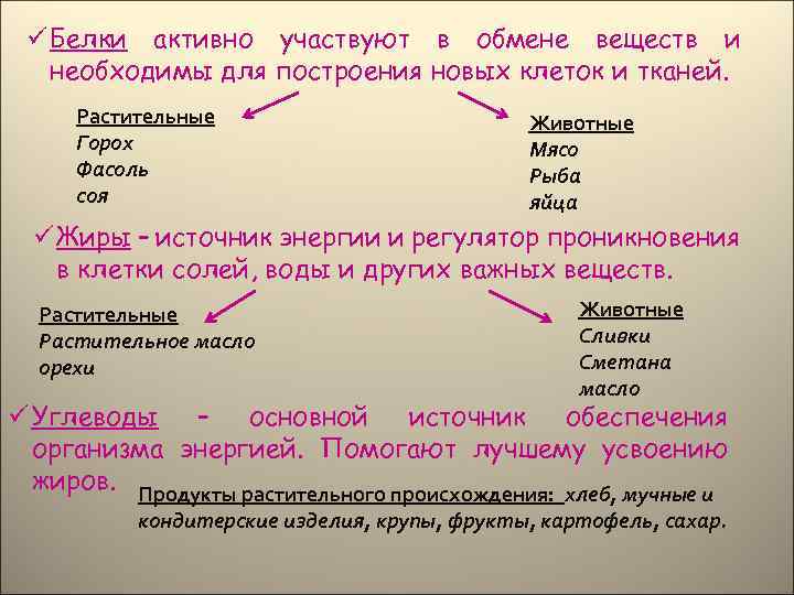 ü Белки активно участвуют в обмене веществ и необходимы для построения новых клеток и