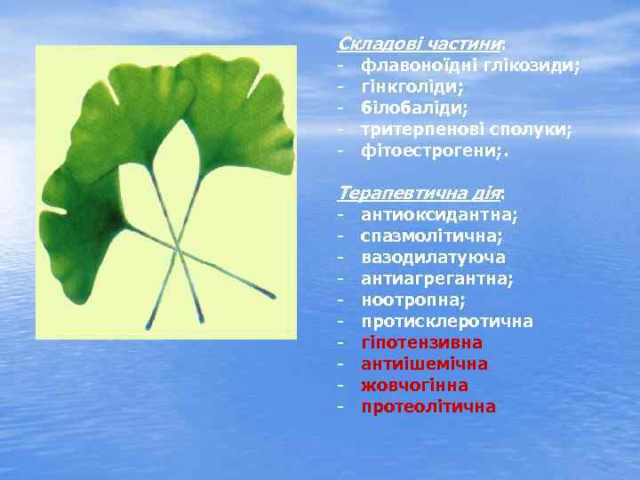 Складові частини: флавоноїдні глікозиди; гінкголіди; білобаліди; тритерпенові сполуки; фітоестрогени; . Терапевтична дія: антиоксидантна; спазмолітична;