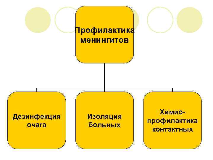 Профилактика менингитов Дезинфекция очага Изоляция больных Химиопрофилактика контактных 