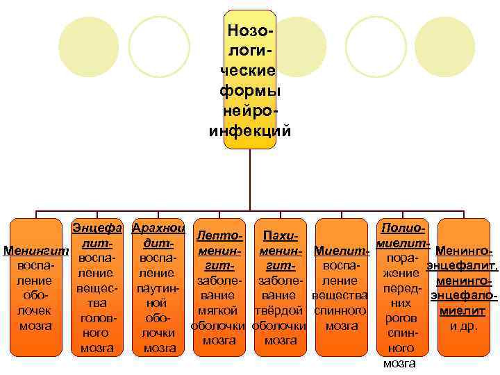 Нозологические формы нейроинфекций Энцефа Арахнои Лепто. Пахилитдит. Менингит менин- Миелитвоспавоспагитгитление заболе- заболевещес- паутинобование вещества