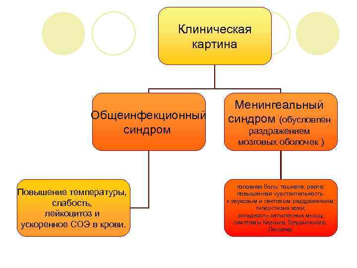 Клиническая картина Общеинфекционный синдром Повышение температуры, слабость, лейкоцитоз и ускоренное СОЭ в крови. Менингеальный