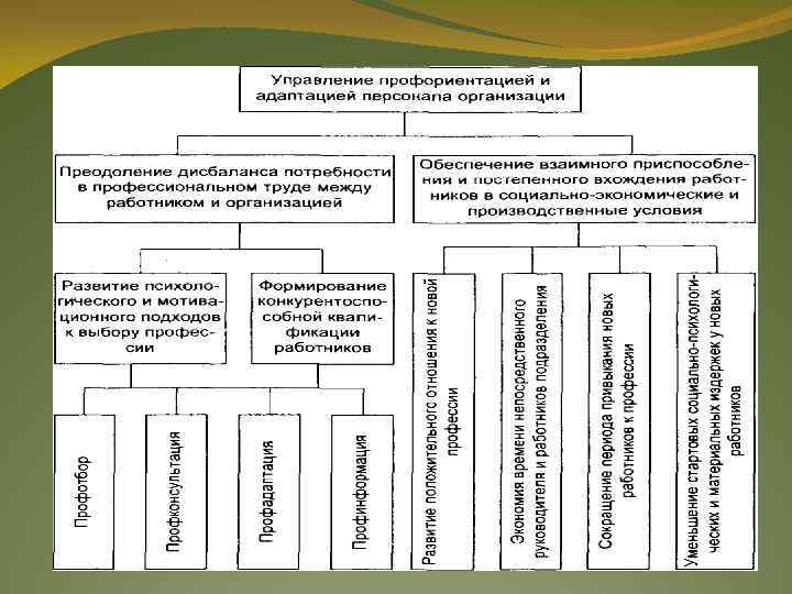 Программа профессиональной ориентации. Цели и задачи системы управления адаптацией персонала в организации. Задачи профориентации и адаптации персонала. Организация управления профориентацией персонала. Управление профориентацией и адаптацией персонала.