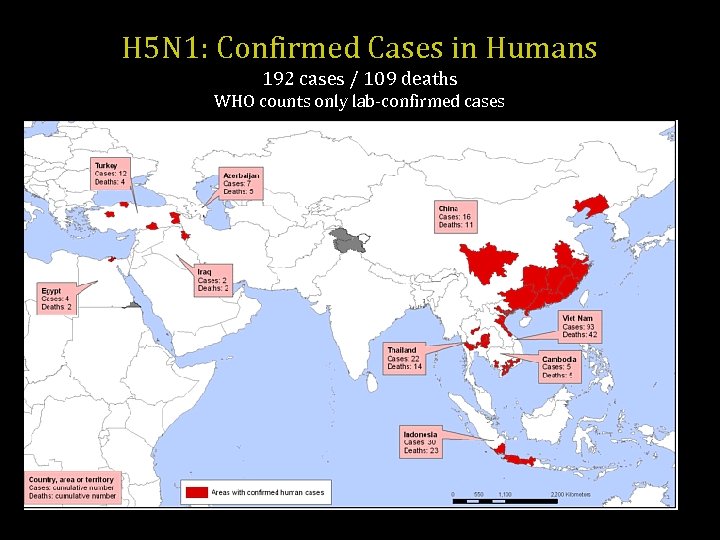 H 5 N 1: Confirmed Cases in Humans 192 cases / 109 deaths WHO