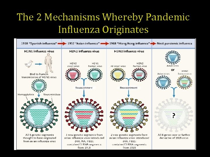 The 2 Mechanisms Whereby Pandemic Influenza Originates 