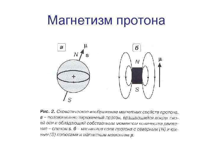 Магнетизм протона 