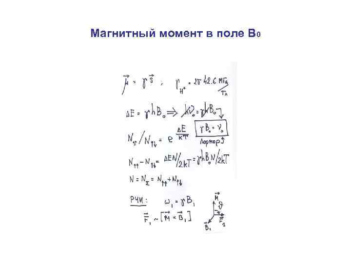Магнитный момент в поле В 0 