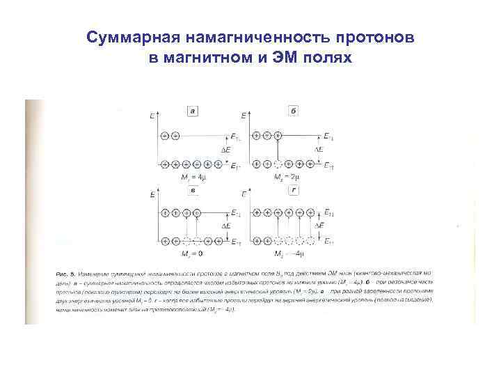 Суммарная намагниченность протонов в магнитном и ЭМ полях 