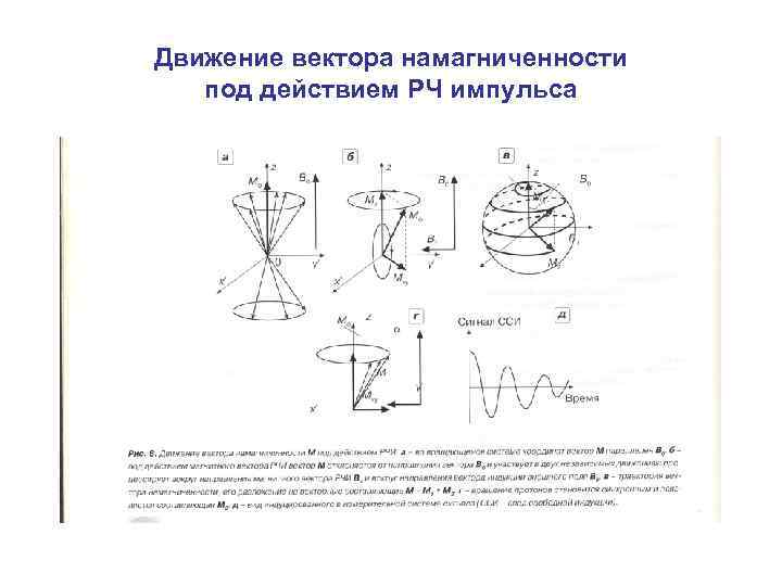 Движение вектора намагниченности под действием РЧ импульса 