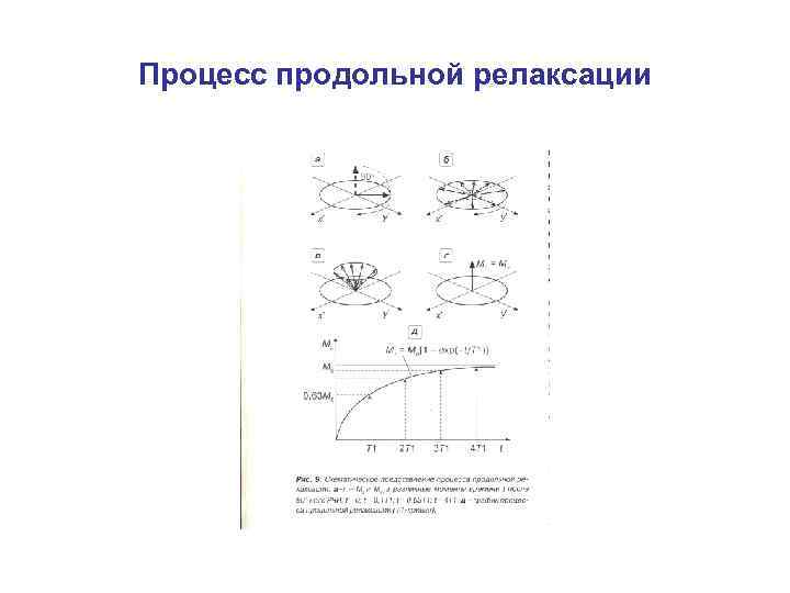 Процесс продольной релаксации 