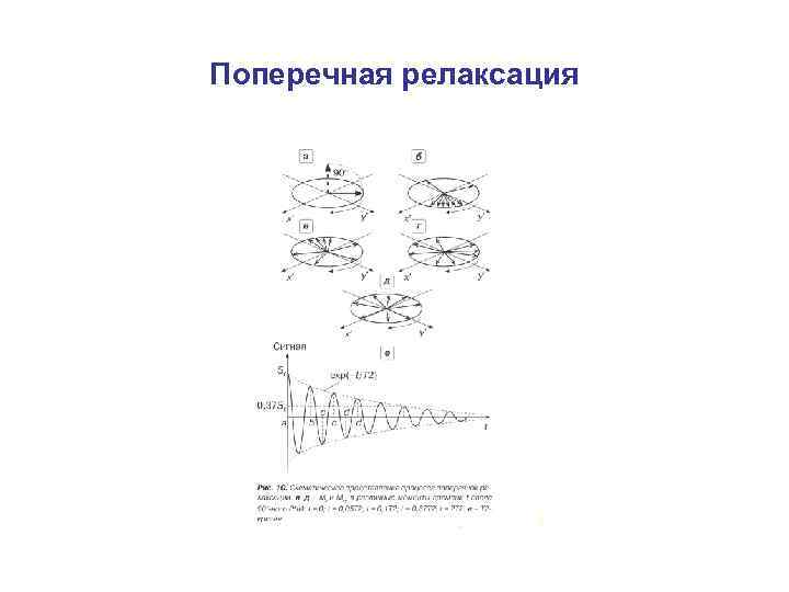 Поперечная релаксация 