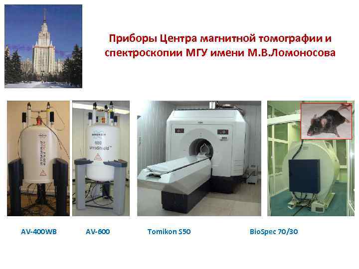 Приборы Центра магнитной томографии и спектроскопии МГУ имени М. В. Ломоносова AV-400 WB AV-600