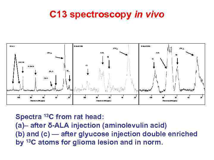 C 13 spectroscopy in vivo D-GLUCOSE δ-ALA D-GLUCOSE (CH 2)n C 2 -5 C