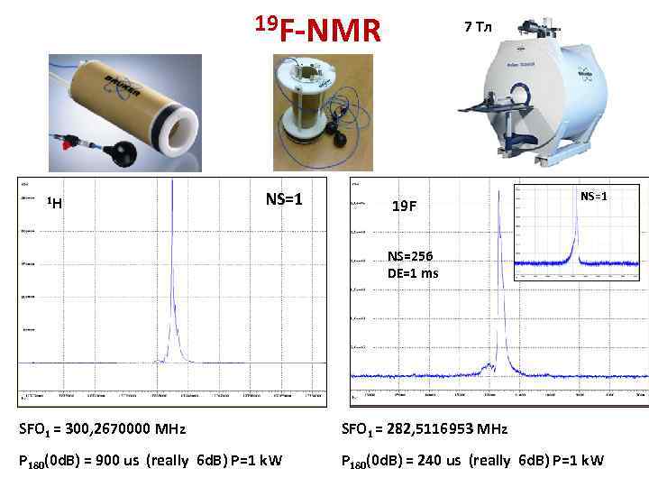 19 F-NMR 1 H NS=1 7 Тл 19 F NS=1 NS=256 DE=1 ms SFO