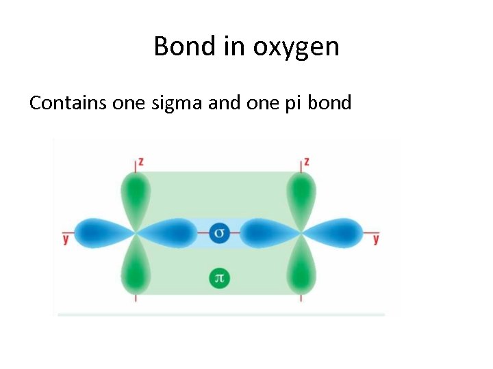Bond in oxygen Contains one sigma and one pi bond 