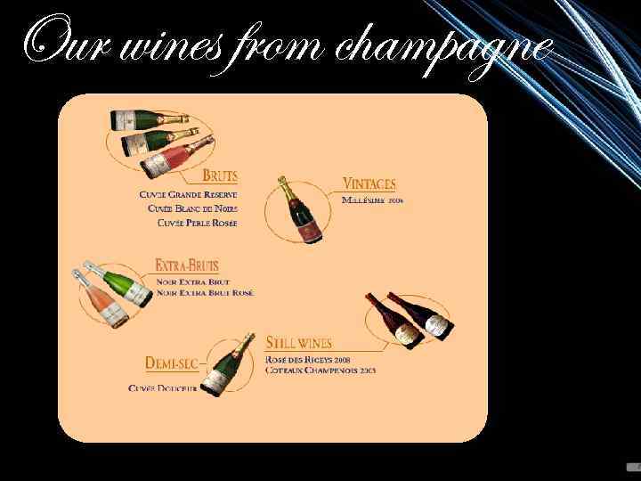 Our wines from champagne 