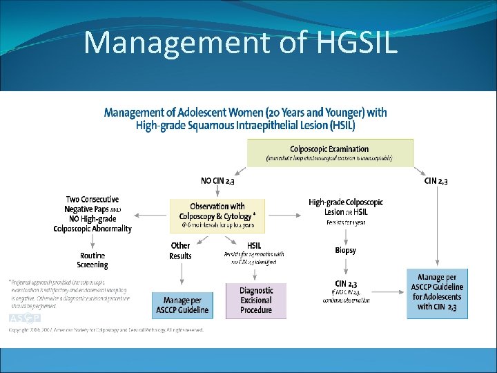 Management of HGSIL 