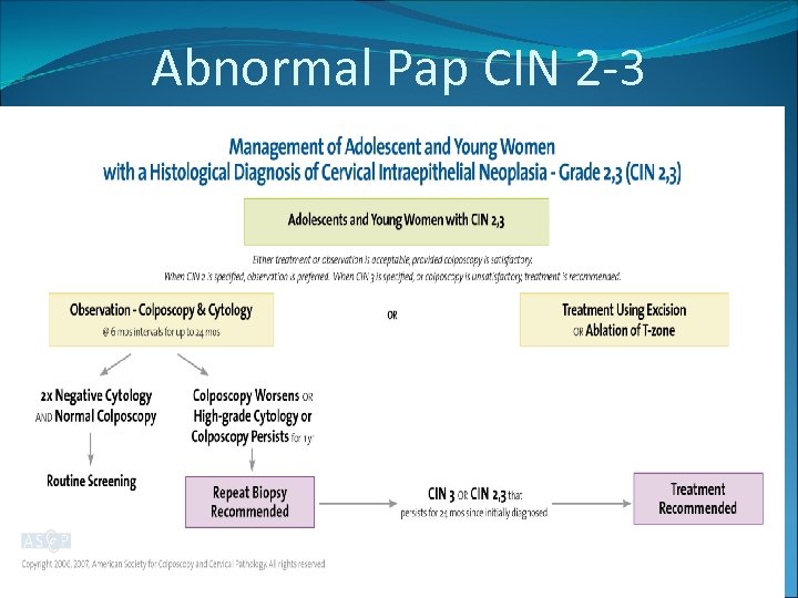 Abnormal Pap CIN 2 -3 
