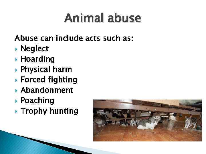 Animal abuse Abuse can include acts such as: Neglect Hoarding Physical harm Forced fighting