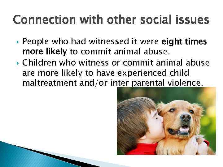 Connection with other social issues People who had witnessed it were eight times more