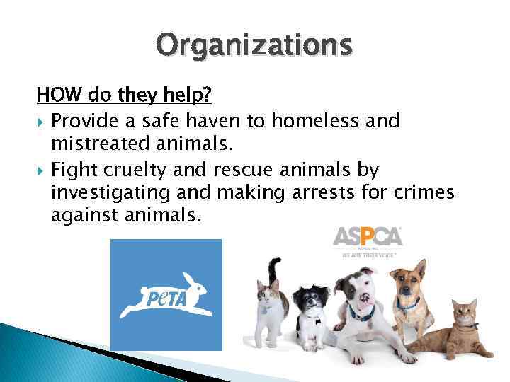 Organizations HOW do they help? Provide a safe haven to homeless and mistreated animals.