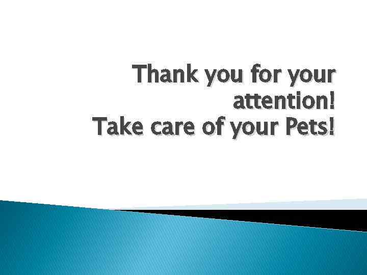 Thank you for your attention! Take care of your Pets! 