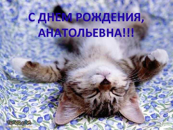 С ДНЕМ РОЖДЕНИЯ, АНАТОЛЬЕВНА!!! 