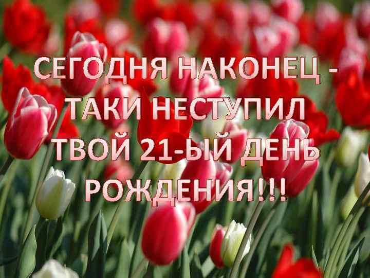 СЕГОДНЯ НАКОНЕЦ ТАКИ НЕСТУПИЛ ТВОЙ 21 -ЫЙ ДЕНЬ РОЖДЕНИЯ!!! 