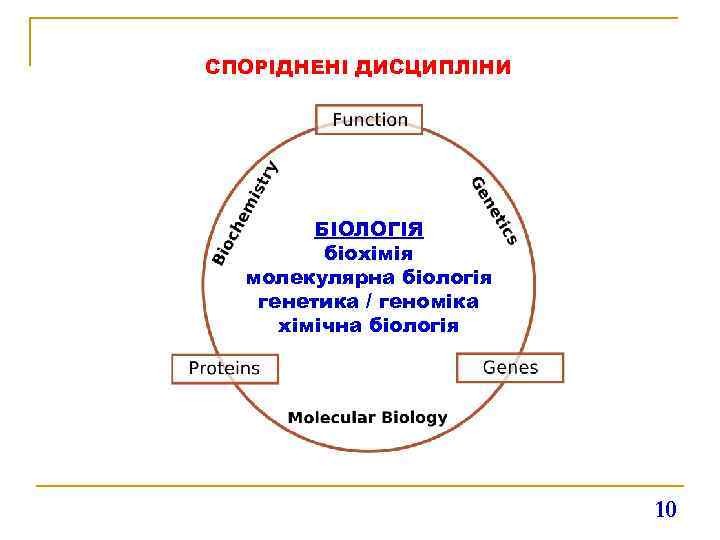 СПОРІДНЕНІ ДИСЦИПЛІНИ БІОЛОГІЯ біохімія молекулярна біологія генетика / геноміка хімічна біологія 10 