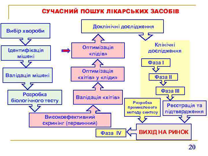 СУЧАСНИЙ ПОШУК ЛІКАРСЬКИХ ЗАСОБІВ Вибір хвороби Ідентифікація мішені Доклінічні дослідження Оптимізація «лідів» Клінічні дослідження