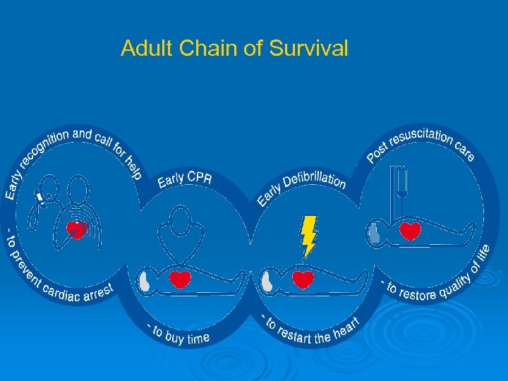 Adult Chain of Survival 