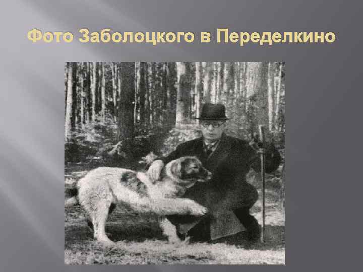 Фото Заболоцкого в Переделкино 