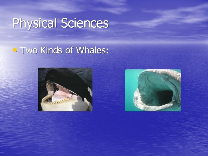 Physical Sciences • Two Kinds of Whales: 